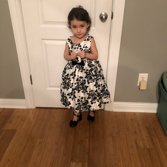 Meet your Posher, Sophia - Picture 7 of 7